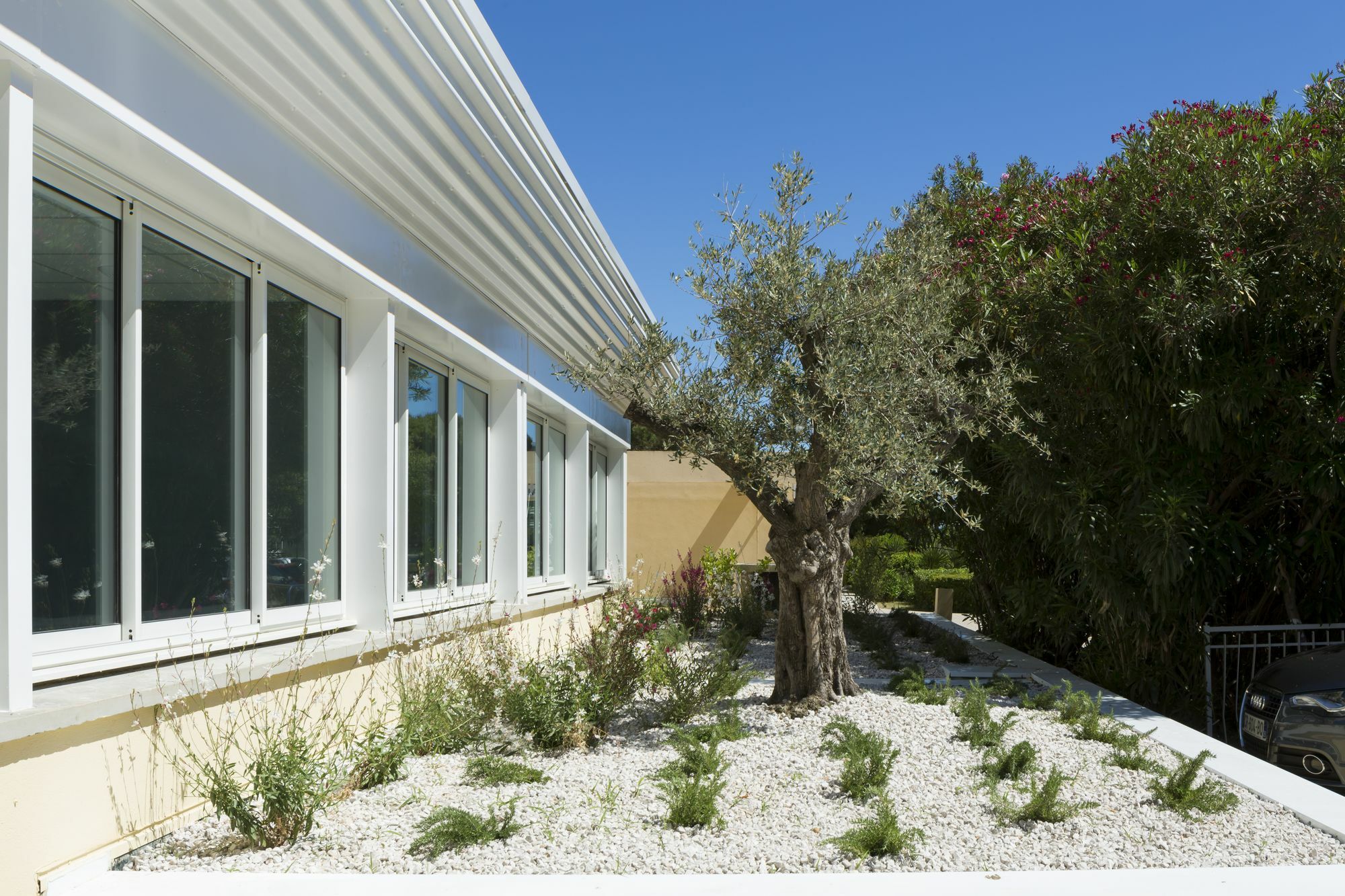 Logis Hotel Les Pins - Operalia Balaruc-les-Bains Luaran gambar